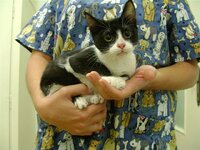 Gataki Avgustos 2010  (fotografissi 2) 002.jpg