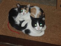 Αγκαλίτσες 2.jpg