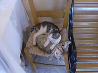 HPIM0070.JPG HPIM0070.JPG