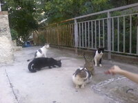 Φωτογραφία0216.jpg Φωτογραφία0216.jpg