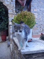 DSC00074.jpg DSC00074.jpg