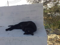 29082010748.jpg 29082010748.jpg