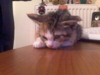 2010-11-01 21-46-13.873.jpg