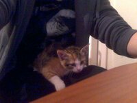 2010-11-01 21-46-50.278.jpg