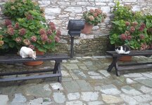 DSC01319 - Αντίγραφο.jpg