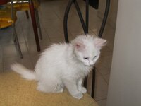 Εικόνα 001.jpg