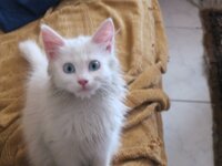 Εικόνα 004.jpg