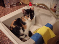 DSCN2472.JPG DSCN2472.JPG