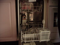 DSCN2492.JPG DSCN2492.JPG