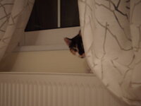 DSCN2396.JPG DSCN2396.JPG