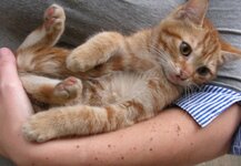 καραμελάκι κόκκινο.JPG