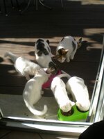 DSCN2948.jpg DSCN2948.jpg