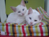 DSCN2954.jpg DSCN2954.jpg