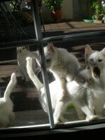 DSCN2940.jpg DSCN2940.jpg