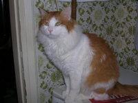 9 septembrioy 118.jpg