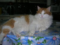 9 septembrioy 152.jpg