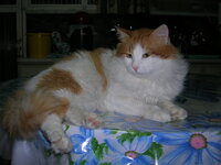 9 septembrioy 155.jpg