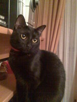 Εικόνα 013.jpg