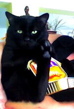 figo αντίγραφο.jpg