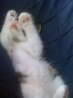 1239 αντίγραφο.jpg