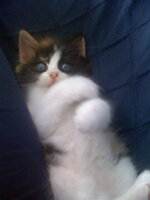 1240 αντίγραφο.jpg