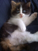 1525 αντίγραφο.jpg