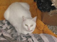 xourxouritsa mou.JPG