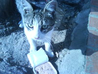 Φωτογρ. 0876.jpg