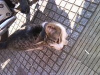 Φωτογρ. 0879.jpg