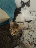 Τίτη και Κορίνα5.jpg