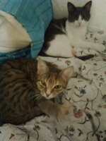 Τίτη και Κορίνα6.jpg