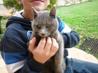 Kinetta 26-12-2010 001.jpg