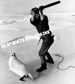 seal-clubbing-image-2-224556181.jpg