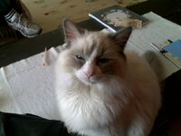 06042011139 [640x480].jpg