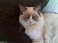 06042011140 [640x480].jpg