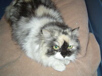 Persa and Ivan 005.JPG