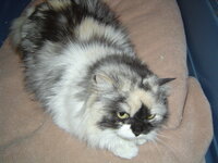 Persa and Ivan 007.JPG