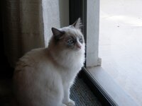 δοκ 013 [640x480].jpg