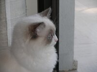 δοκ 014 [640x480].jpg