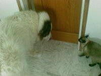 03012010.jpg 03012010.jpg