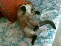 28052010(001).jpg 28052010(001).jpg