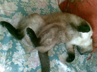 28052010(002).jpg 28052010(002).jpg