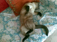 28052010(003).jpg 28052010(003).jpg