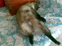 28052010(004).jpg 28052010(004).jpg