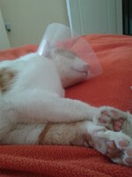 2011-05-25 08.55.27.jpg