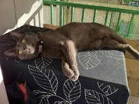 φωτογραφία (1).JPG