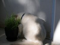 γ 1 005 [640x480].jpg