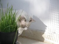 γ 1 007 [640x480].jpg