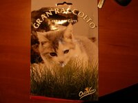 γ 1 009 [640x480].jpg