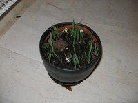 γ 1 010 [640x480].jpg